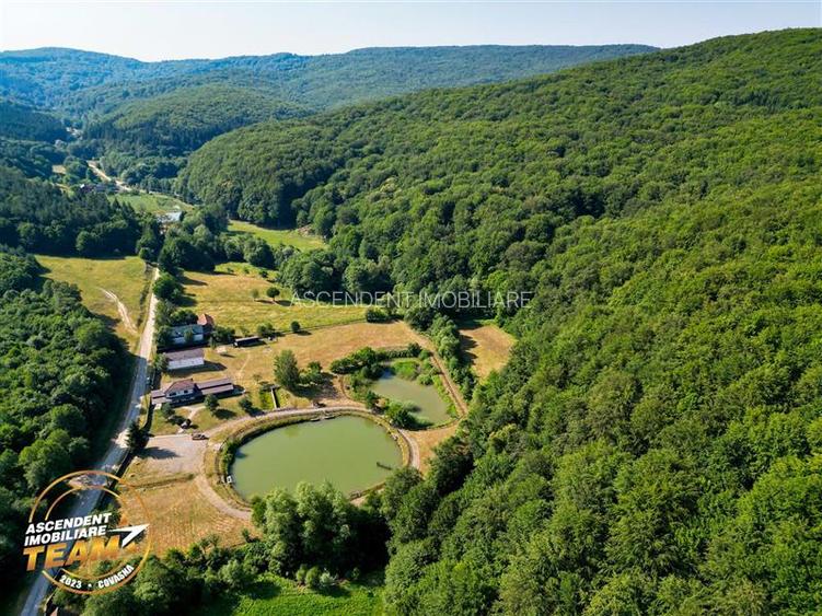 FILM! Teren extravilan pe 2.737mp,zona pretioasa,acces facil,Dobarlau,Covasna - 10