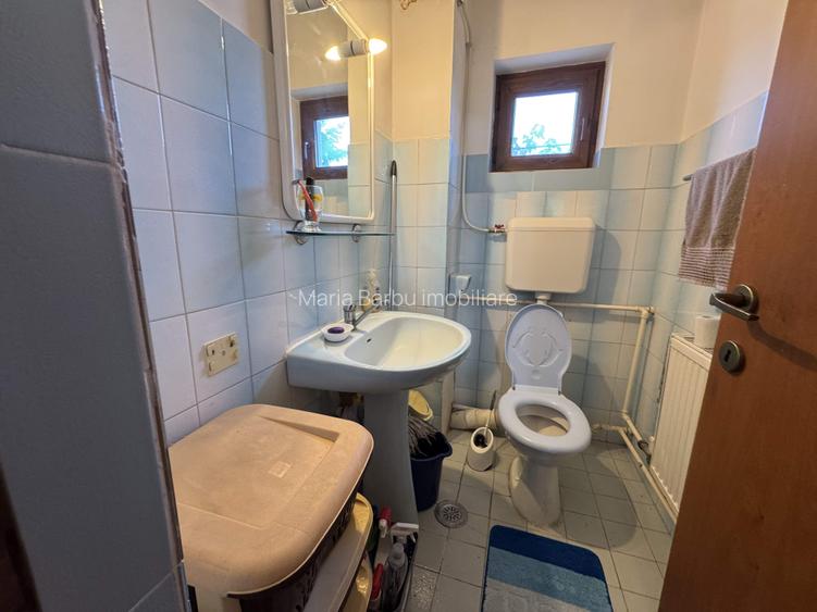 Vila P+1, Su - 334 mp, T = 4057 mp, D=21 m, com. Ganeasa - Izvoru - 16