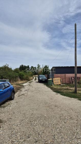 Teren intravilan 1000 mp - Domnesti - 5