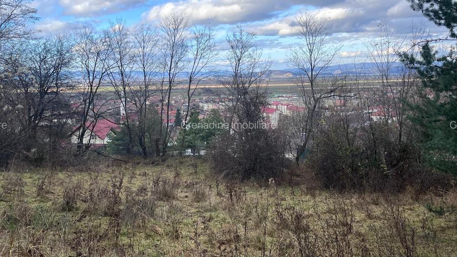 Teren Intravilan 495 mp – Zonă Liniștită Strada Livezii - 6