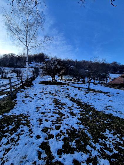 Teren intravilan Simon/Bran, 4318 mp , casuta intabulata, utilitati - 9