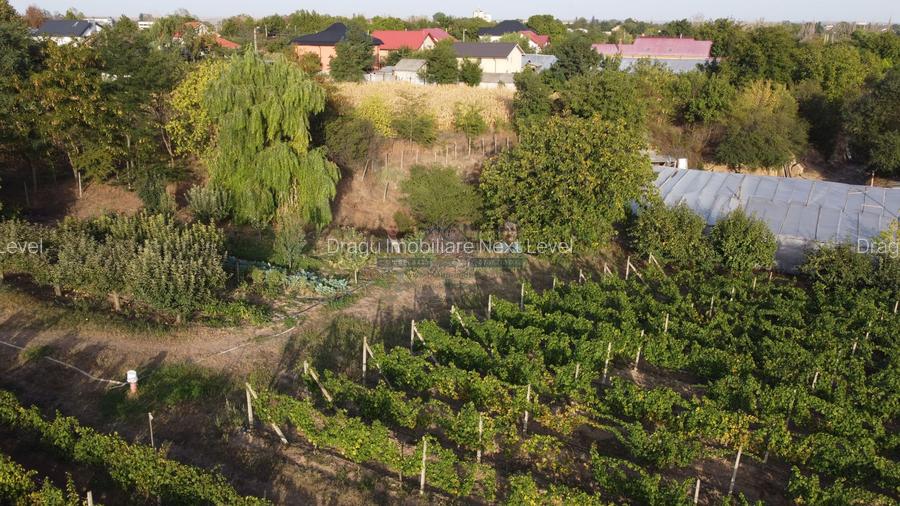 Teren intravilan Tecuci/Podgorie si Pomi Fructiferi/5000 mp - 7
