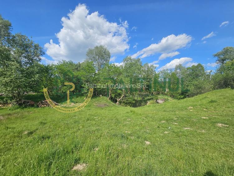 Teren de vânzare în Racovița, Sibiu – Valea Lupului - 8