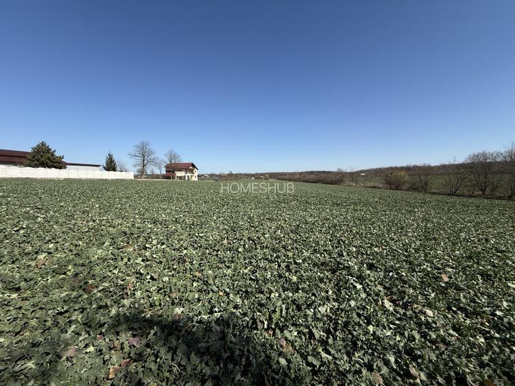 0% | Teren intravilan, 4563 mp, front 25 m, utilitati | Potigrafu PH - 7