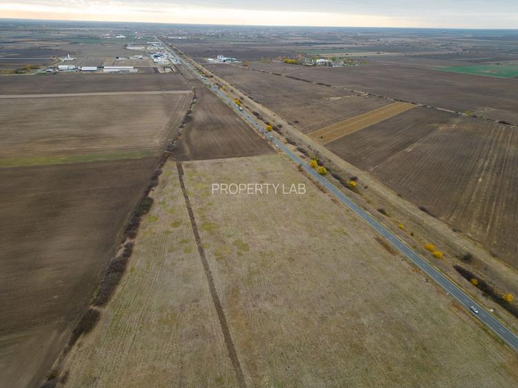 Teren 22.500 mp–Pecica, jud. Arad,Posibilitate PUZ - 11