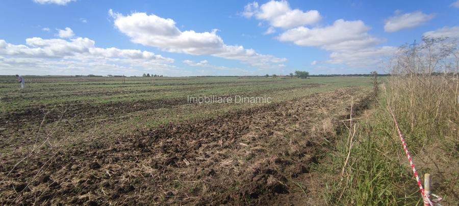 Teren Costinesti 500mp - 5