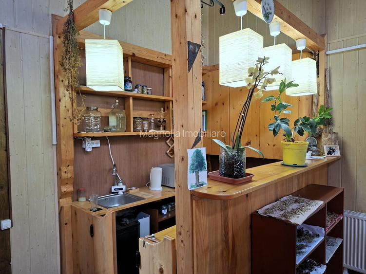 Priveliste de vis, 5 camere + anexe, teren 7000 mp, gata de mutat - comision 0%! - 13