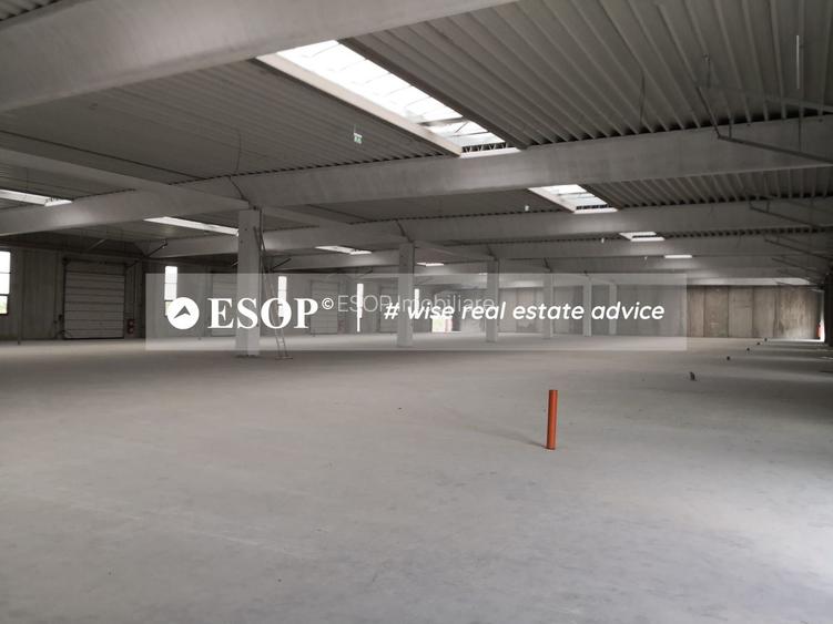 Hale industriale, parc modern, Rudeni, Chitila, Ilfov- ID 15462 - 8