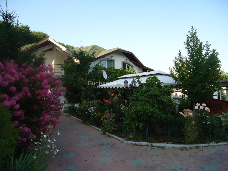 Vila piscina superba gradina matura cu iesire directa la padure - 40