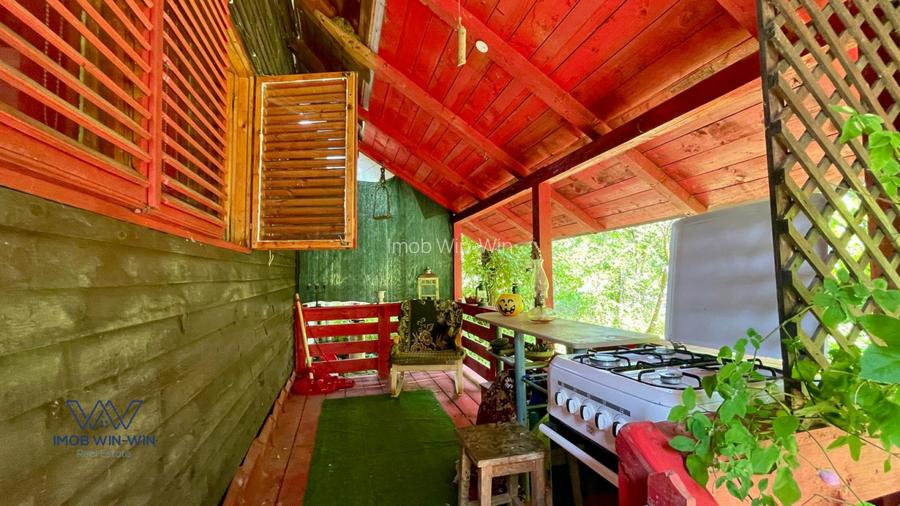 Casa Vacanta Babana! - 4