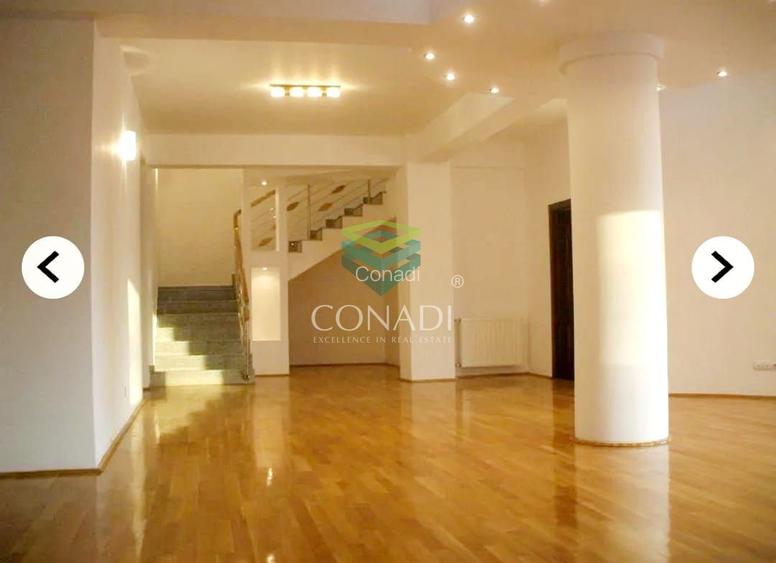 Spatiu de birouri Herastrau - 14