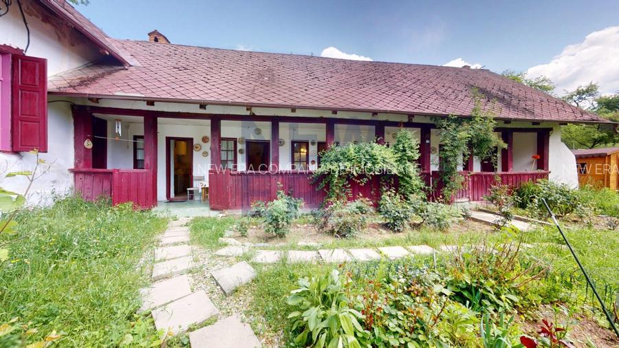 CONACUL GEORGE STEPHANESCU - 12