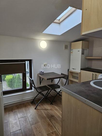 Apartament 1 camera de inchiriat in vila, zona Centru-Primarie - 11