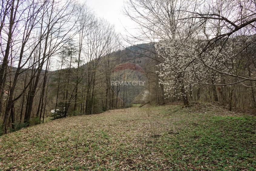 Casa si teren intravilan Tarcau - 34