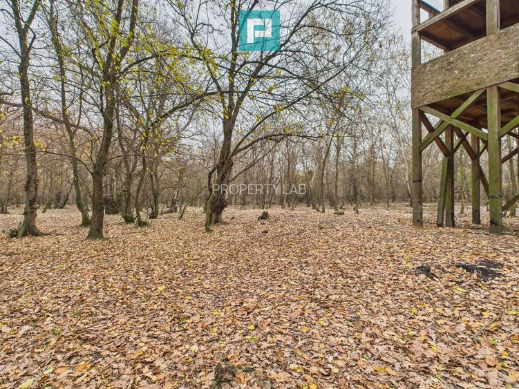 Teren pe malul Muresului- oportunitati multiple - 16