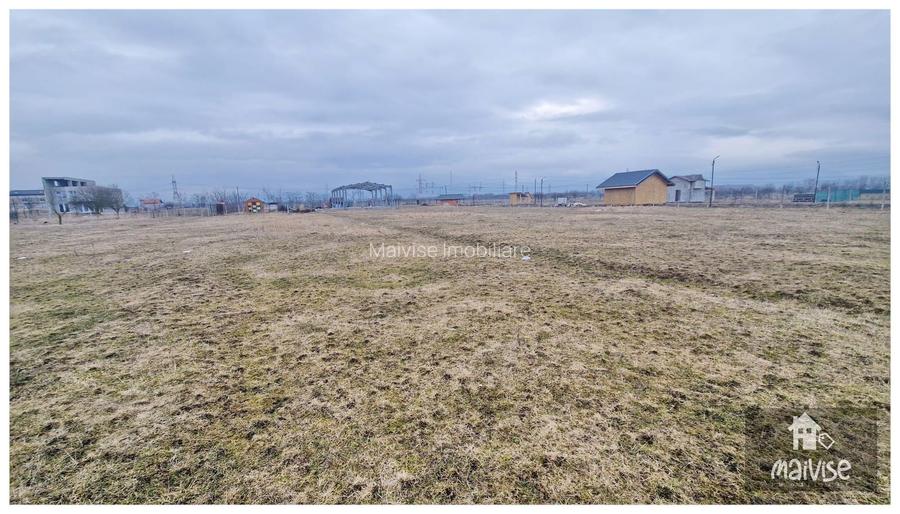 Teren Intravilan 2.300 mp- Sanpetru - 4