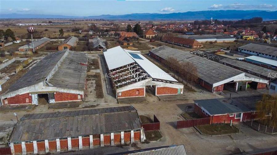 Ansamblu agrozootehnic cu renume,dotat +valoare exceptionala+potential versatil, - 30