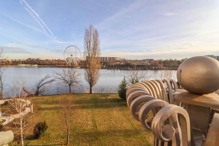 Vila de vanzare 11 camere zona Tei 1450 mp - 19