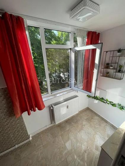 Apartament cu 1 camera, etajul 1, zona Podu de Piatra - 3