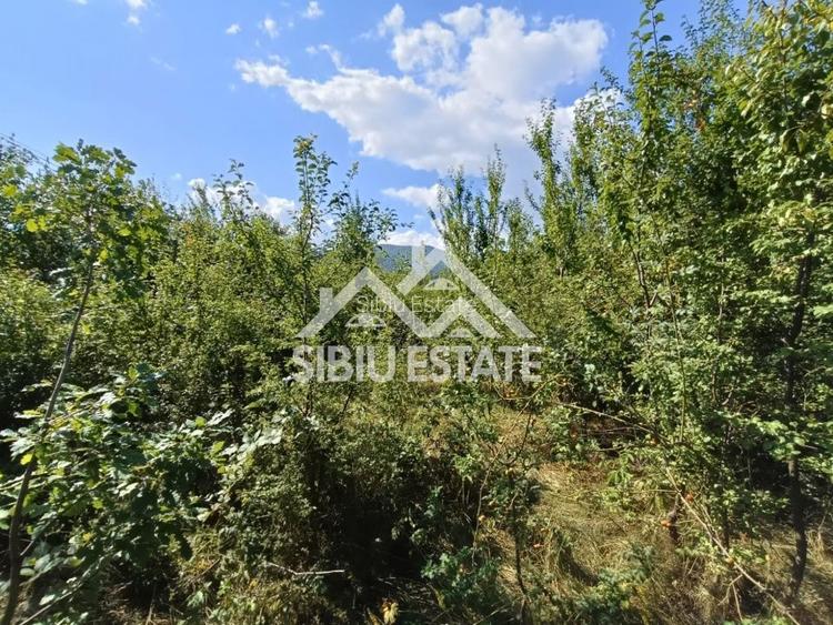 Teren  construibil ,la sosea, intre Vale si Sibiel, zona cu potential - 10