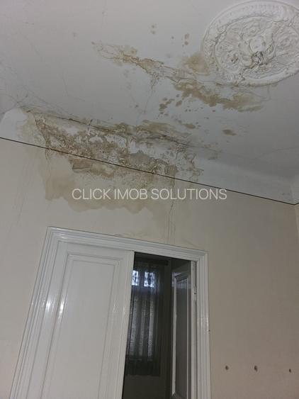 Hala Traian- singur curte- renovabila/demolabila - 7