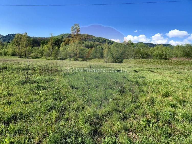 Teren 2,786mp Sighetu Marmatiei / Strada Zimbrului - 3