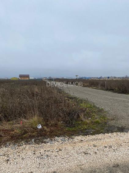 Stupini-DN13 loc de casa - 5