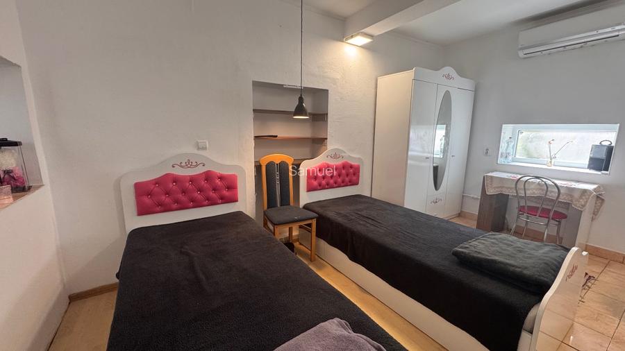 Casa in localitatea Lovrin - 12