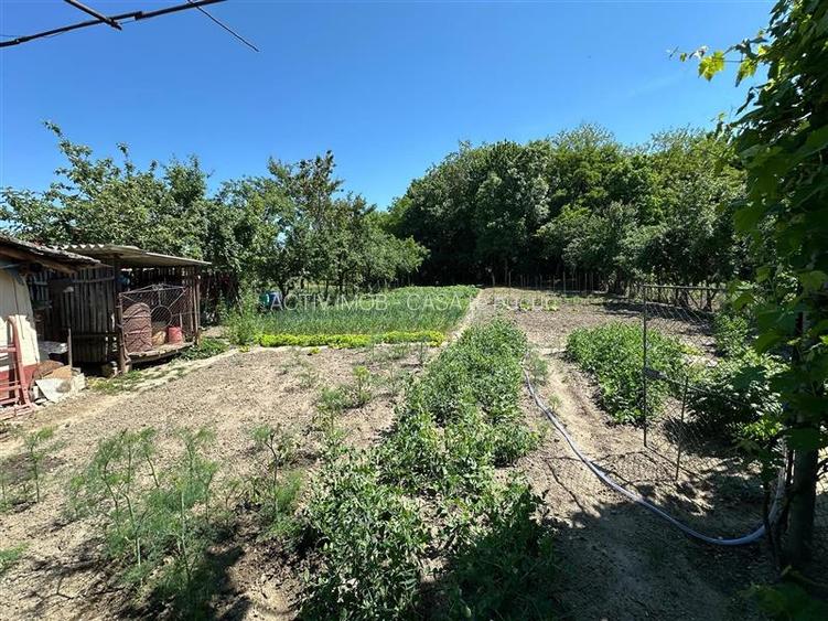 Casa Cocheta, Locuibila imediat,  cu Gradina si Curte,1500mp., Com.Birda. - 22