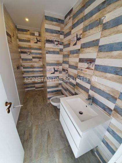 Proprietar - Single 4 camere, 330 mp curte compacta, living 40 mp - 16