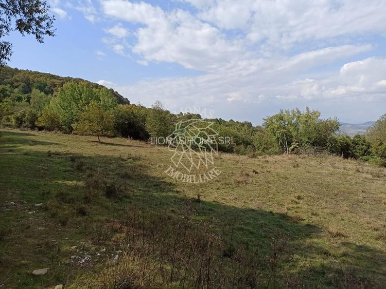 Teren  42,200 mp (4,22 hectare)-Parcelabil-investitie-Valea Jelnei - 2