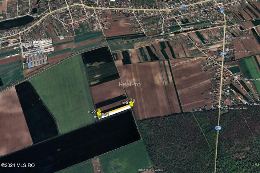 Moara Vlasiei - langa Padurea Biglaru, 11.884 mp, deschidere 40 ml! - 13