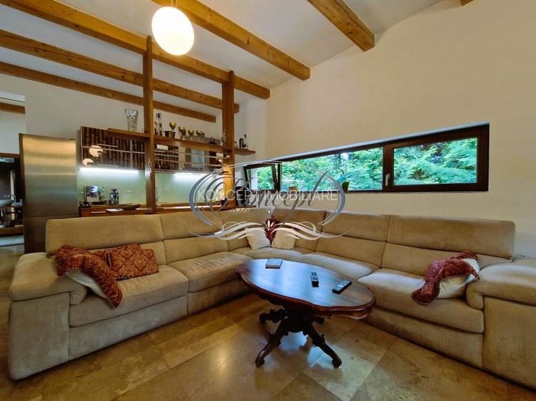 Casa deosebita in Faget - 8