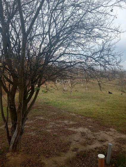 Vând teren intravilan 4062 mp - 2