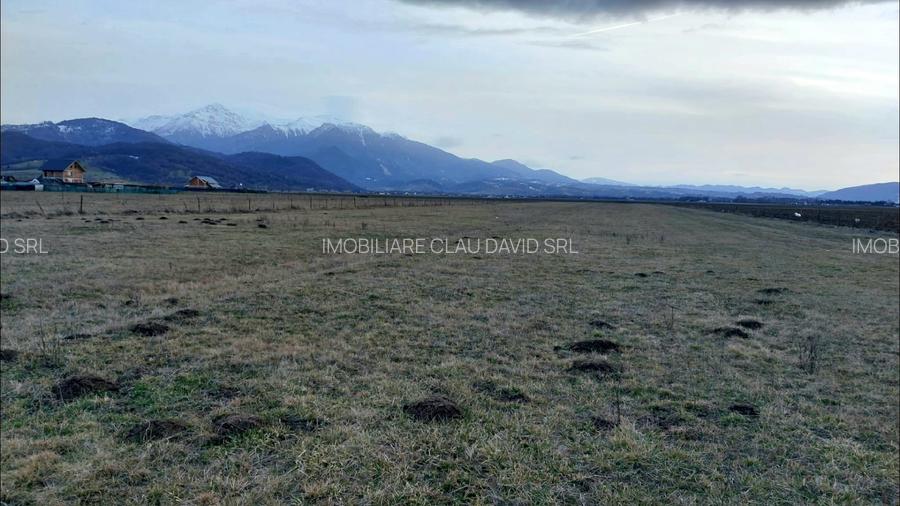 TEREN 1049 mp - INTRAVILAN DE CONSTRUCTII - 3