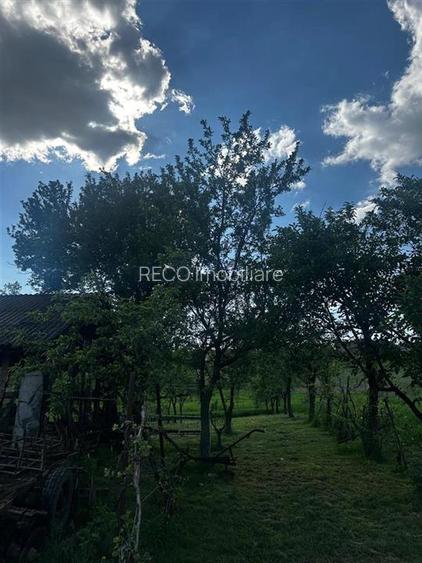 Reco, Casa cu teren, Lugasu de Sus, la 32 km de Oradea - 7