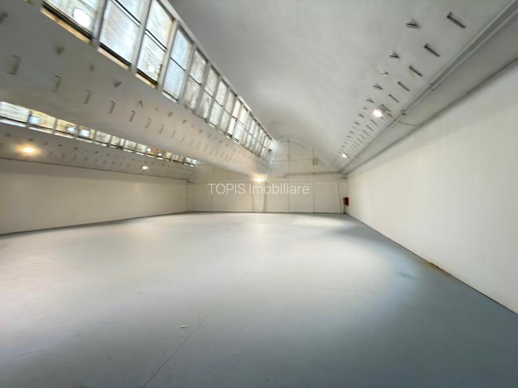 Pantelimon / Republica - Spațiu Industrial / Producție / Depozitare - 30