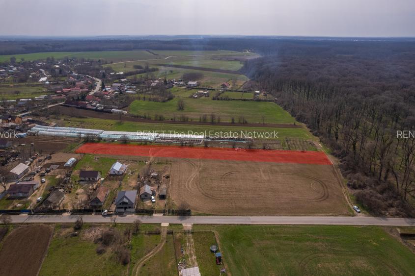 NUCI - BALTA NEAGRA, LOT 3080 MP, LA PADURE! - 5