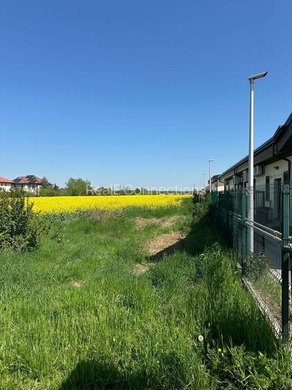 Teren intravilan 26.300 mp Saftica Balotesti - PUZ în lucru - 15