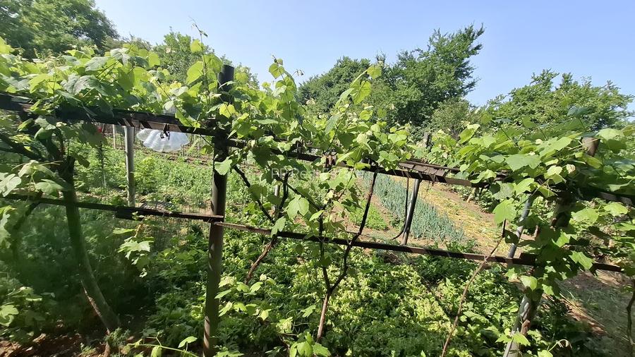 Kamsas - teren 2303 mp - deschidere 41.2 ml - 2