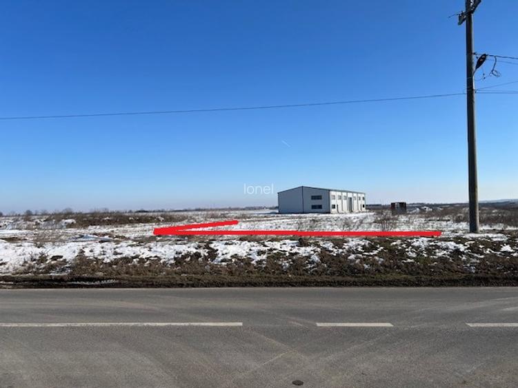 Teren intravilan 2000 mp-deschidere 27m la DJ200-Dascalu - 7