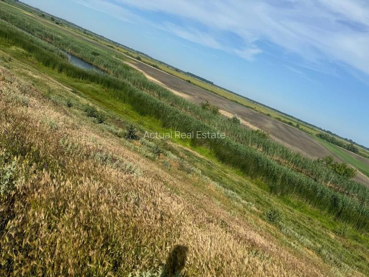 TEREN INTRAVILAN | DUNAVATU DE JOS | DESCHIDERE LA APA - 2