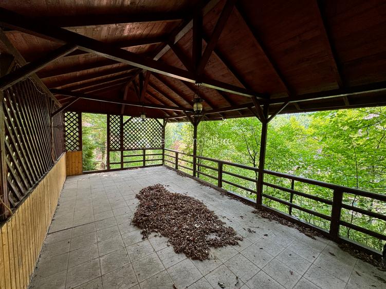 Sinaia Strada Cerbului - 45