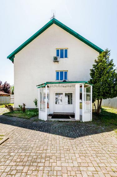 De vanzare proprietate pretabila cazare/locuire/pensiune rurala,  Carani, Timis - 41