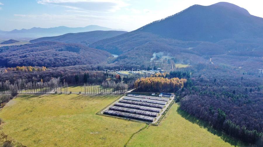 Teren Intravilan - Amplasare Unica - 22