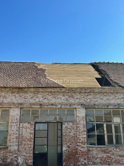 Casa mare 600mp utili pe teren de 1800mp - 6