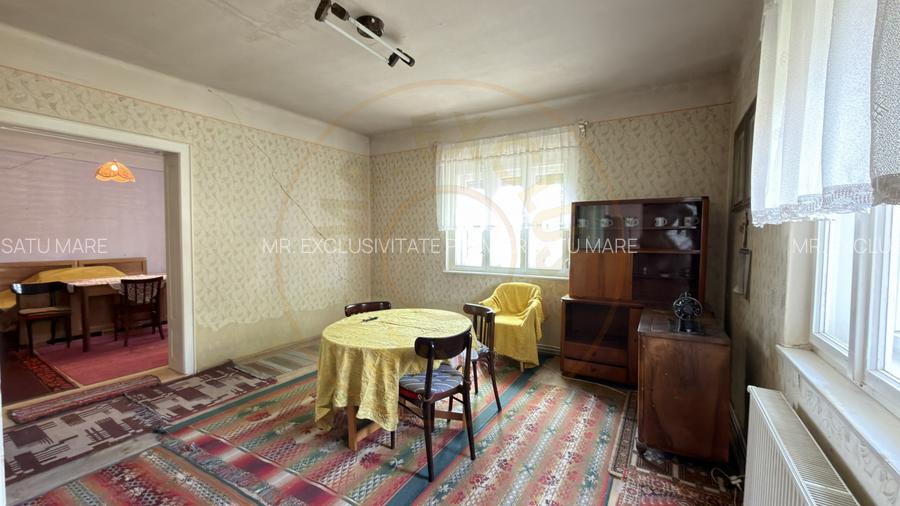 Casă 4 camere, Teren 1955 mp Str. Vezendiului Nr. 366 - Loc. Petrești, Satu Mare - 17