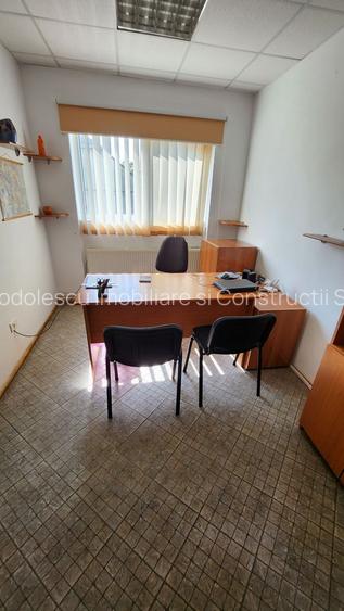 Spatiu industrial productie/ depozitare, Timiș - 32