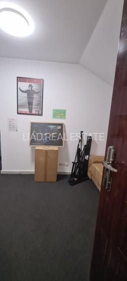 Apartamente in vila istorica Cismigiu - 8