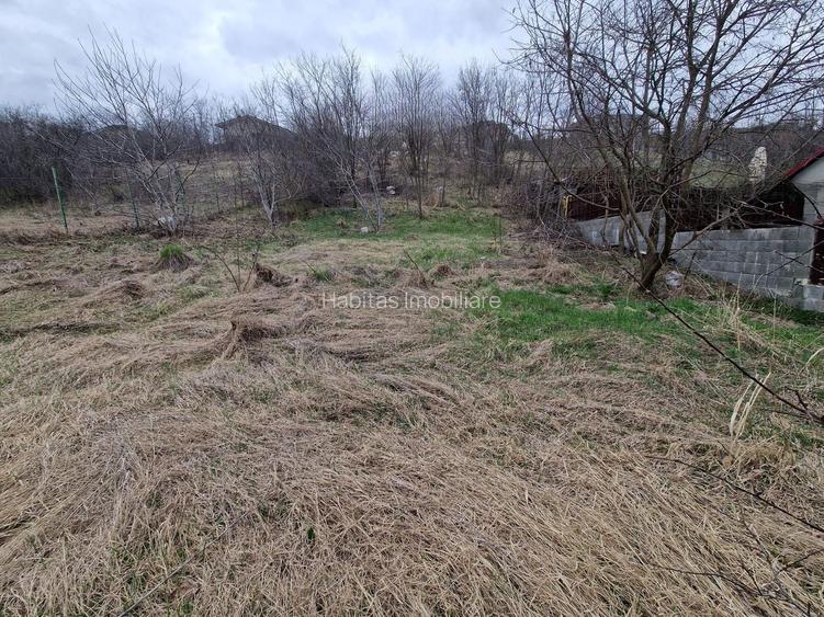 Teren cu toate utilitatile 584 mp, Dezmir zona str Criseni - 6